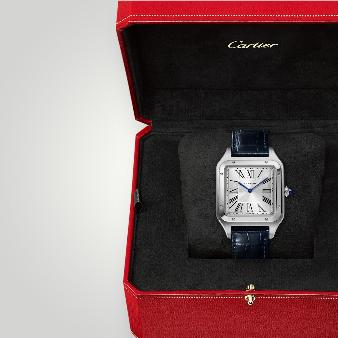 Cartier Santos-Dumont Extra-large WSSA0032 Satin-Brushed Silver Dial ( 2026 )