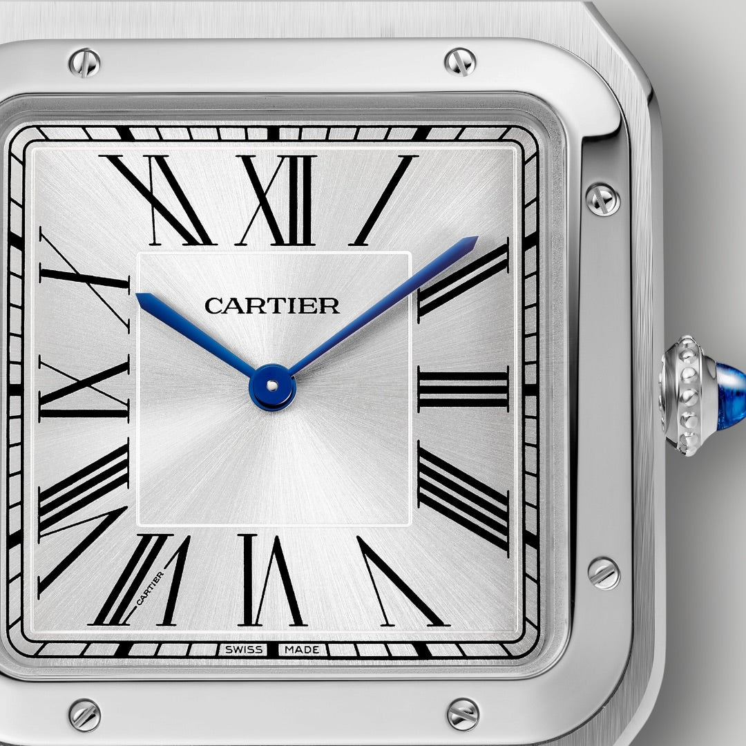 Cartier Santos-Dumont Extra-large WSSA0032 Satin-Brushed Silver Dial ( 2026 )