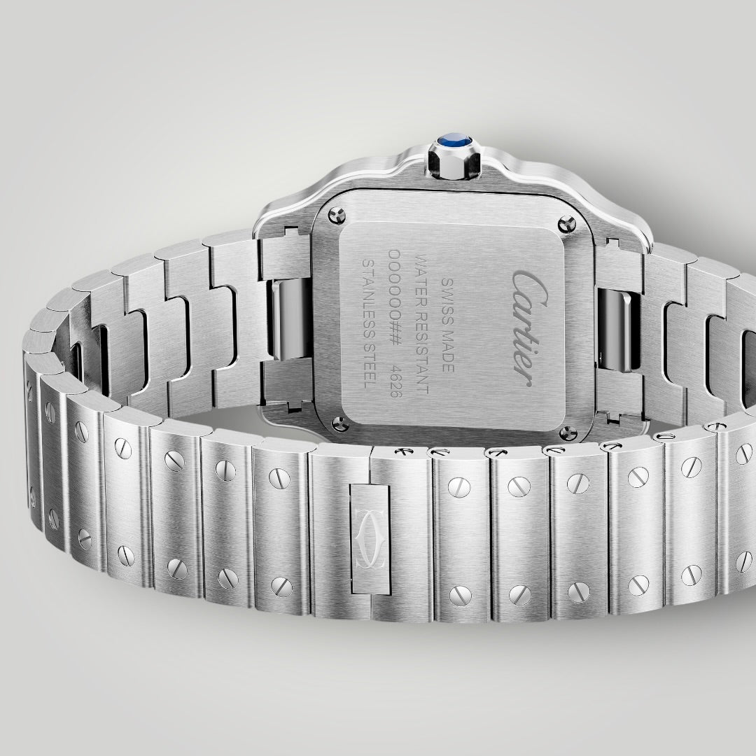 Cartier Santos Small WSSA0082 Silver Sunray Dial ( 2026 )
