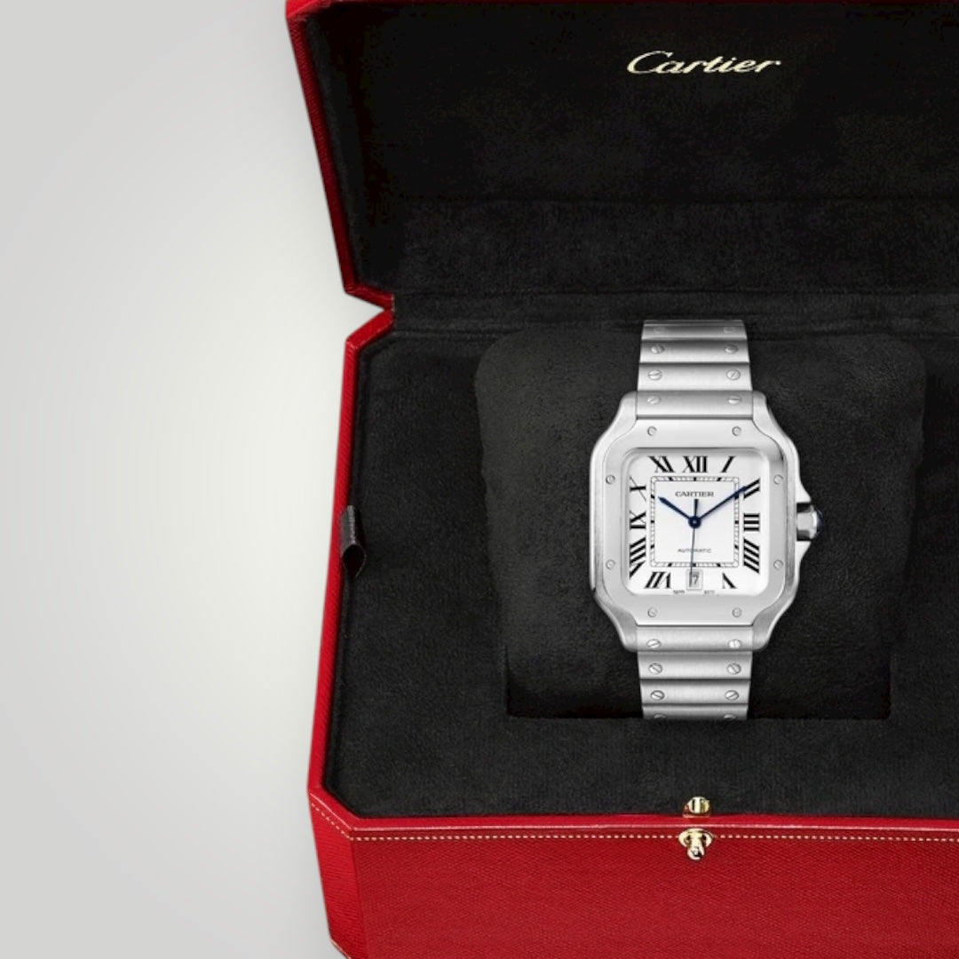 Cartier Santos Large WSSA0018 Silvered Opaline Dial ( 2025 )