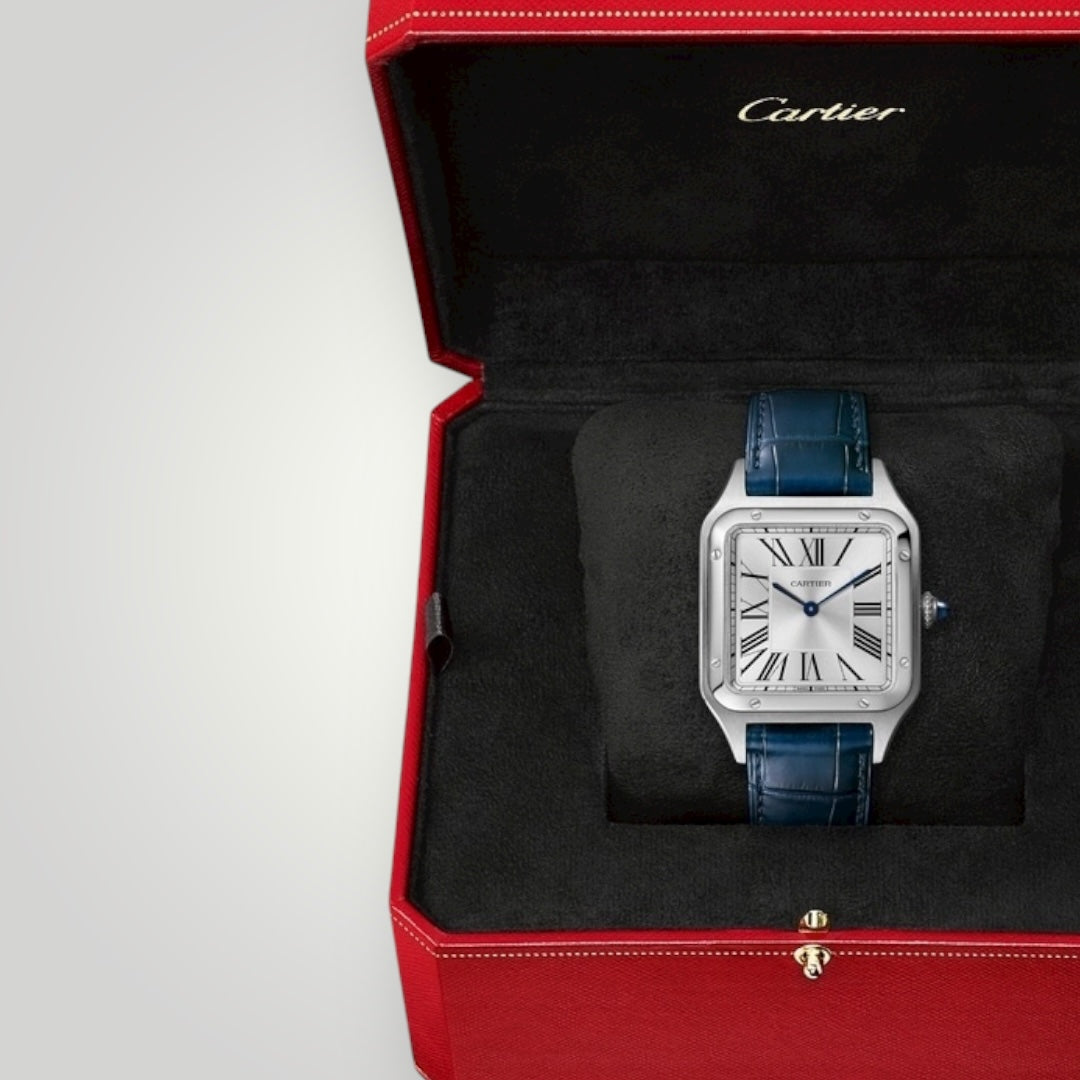 Cartier Santos-Dumont Large WSSA0085 Satin-Brushed Silver Dial ( 2025 )