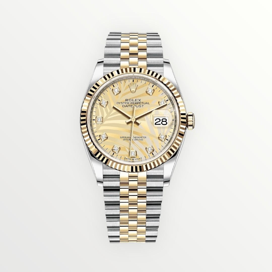 Rolex 126233 ( 2024 )