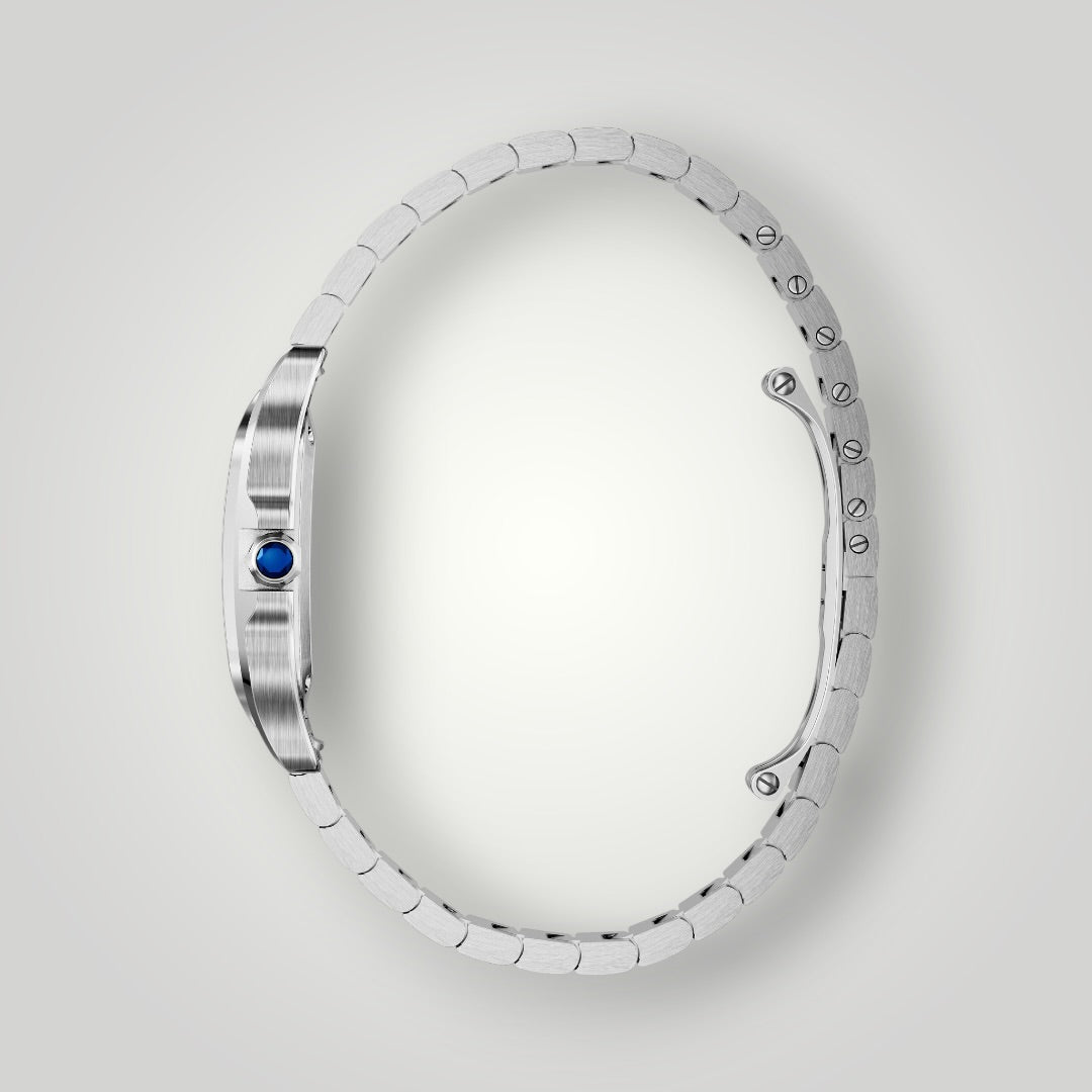 Cartier Santos Small WSSA0082 Silver Sunray Dial ( 2026 )
