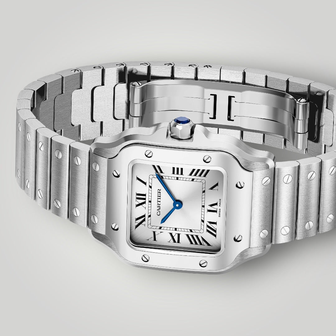 Cartier Santos Small WSSA0082 Silver Sunray Dial ( 2026 )