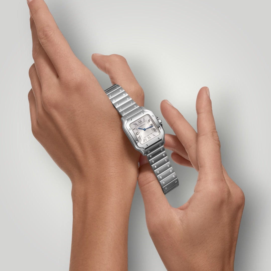 Cartier Santos Small WSSA0082 Silver Sunray Dial ( 2026 )