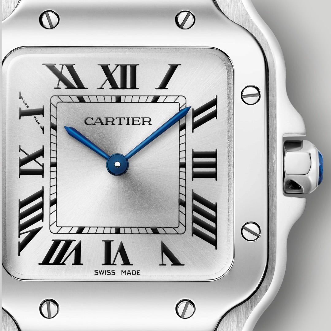 Cartier Santos Small WSSA0082 Silver Sunray Dial ( 2026 )