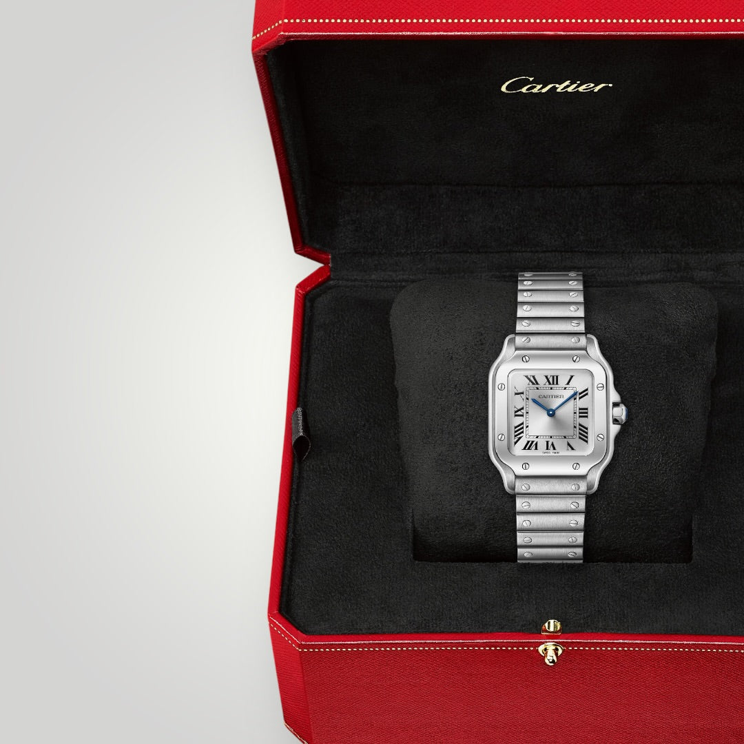 Cartier Santos Small WSSA0082 Silver Sunray Dial ( 2026 )