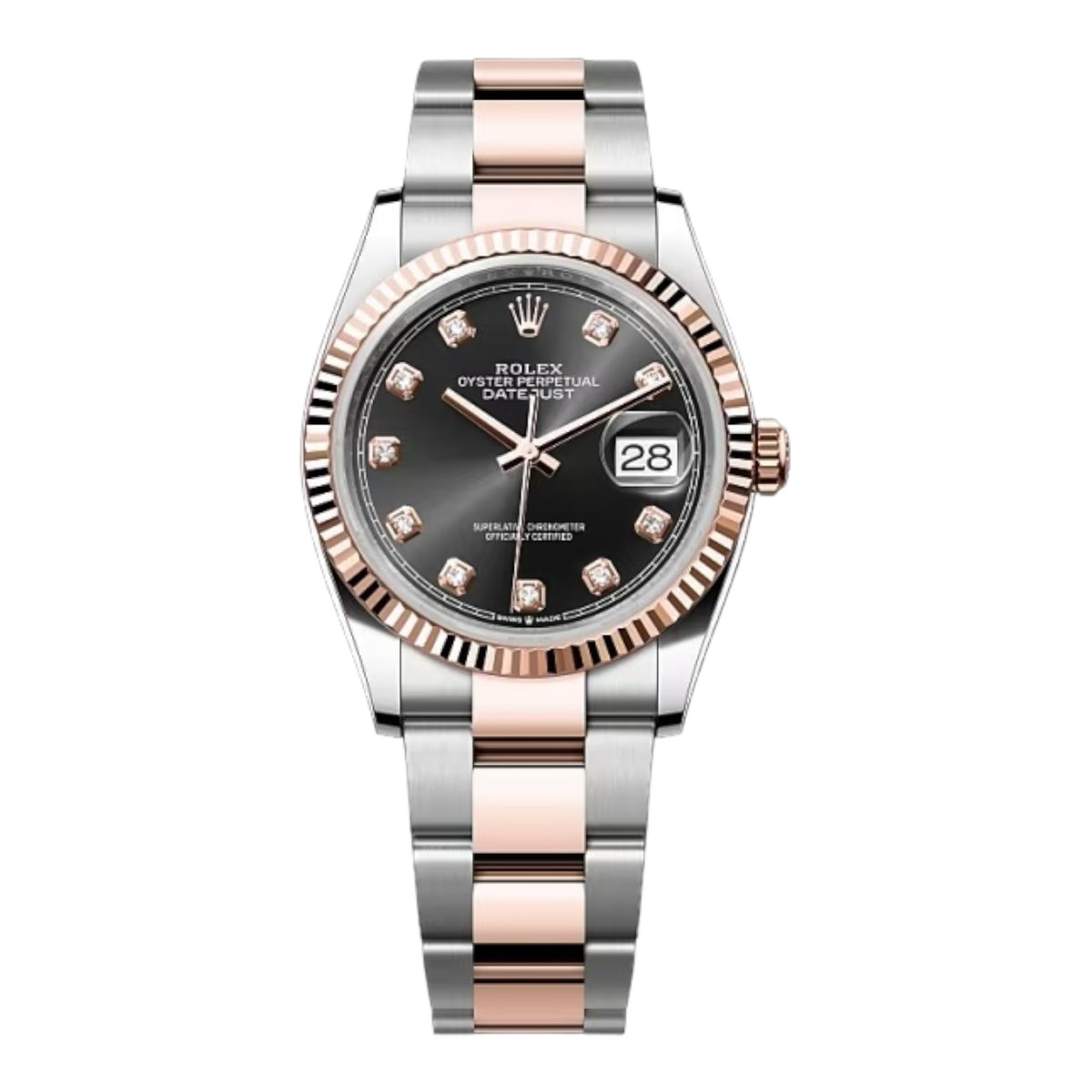 Rolex 126231 ( 2024 )