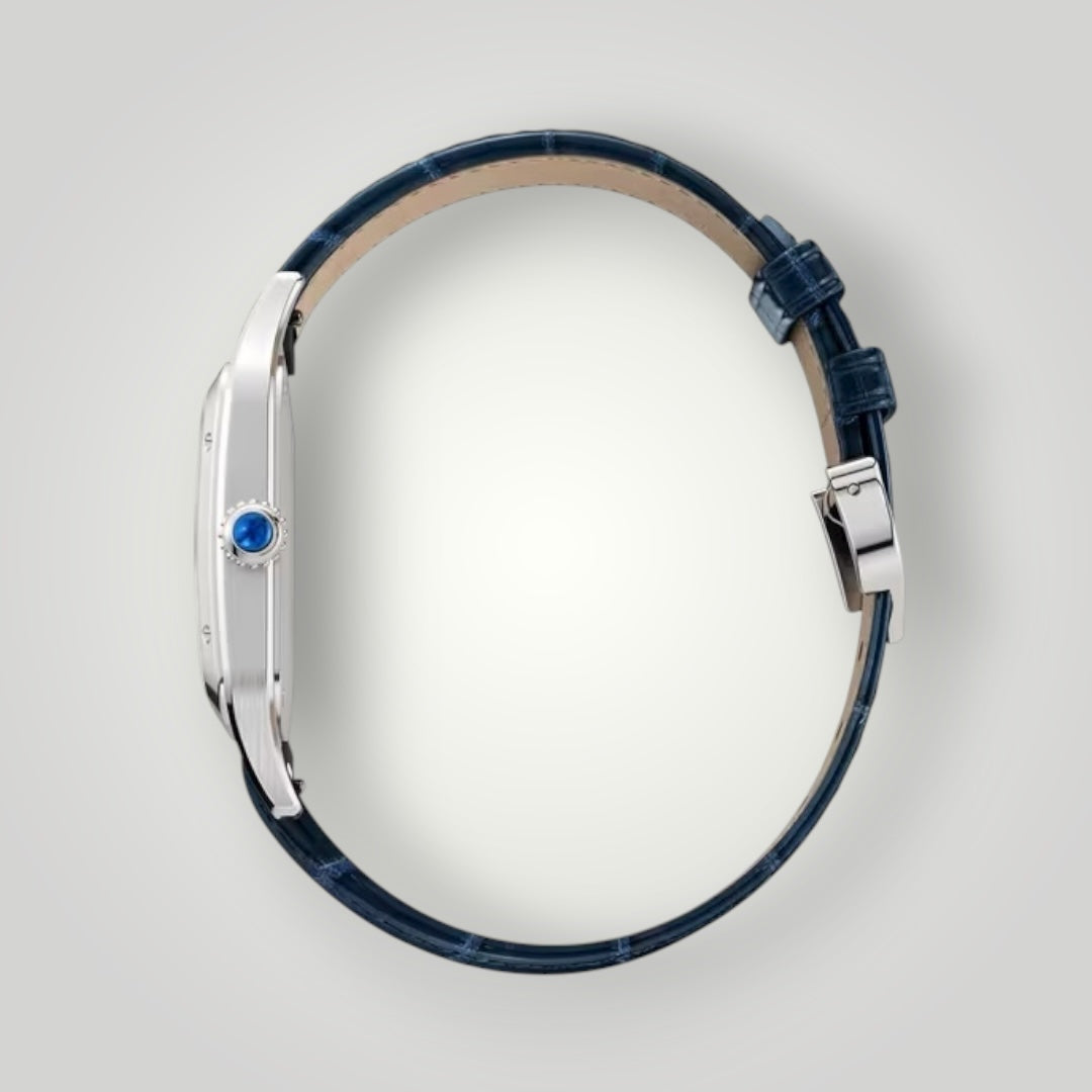 Cartier Santos-Dumont Large WSSA0085 Satin-Brushed Silver Dial ( 2025 )