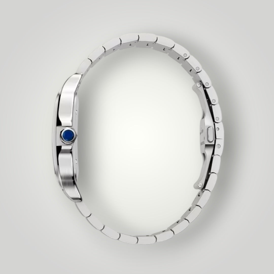 Cartier Santos Large WSSA0018 Silvered Opaline Dial ( 2025 )