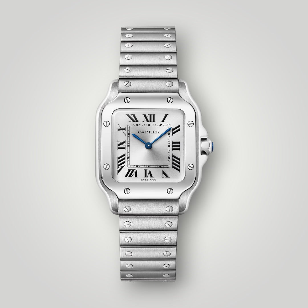 Cartier Santos Small WSSA0082 Silver Sunray Dial ( 2026 )